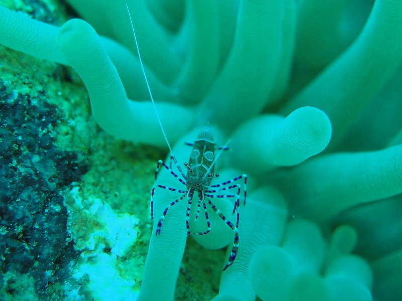 Curacao 04-12 051.jpg